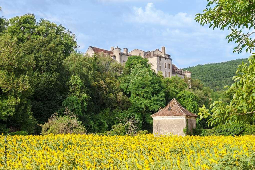 Brit Hotel Cahors - Le France Zewnętrze zdjęcie